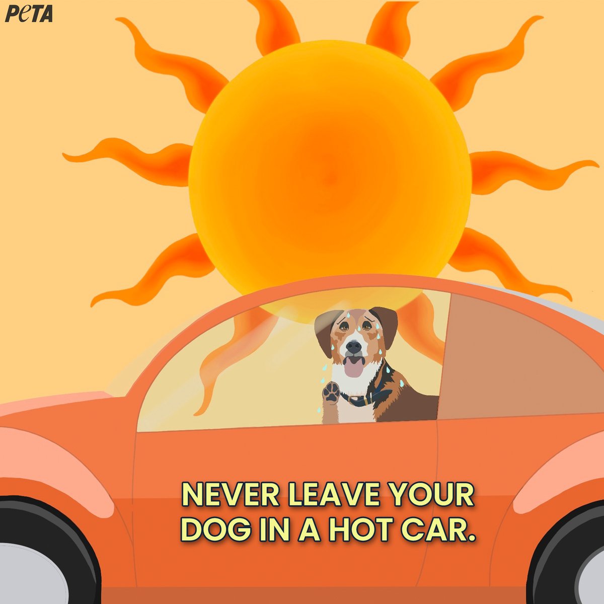 peta's tweet photo. In just a few minutes, the temperature inside your car can make it a death trap for your dog.

Learn the facts—#HotCarsKill! https://t.co/gy2q85AwML