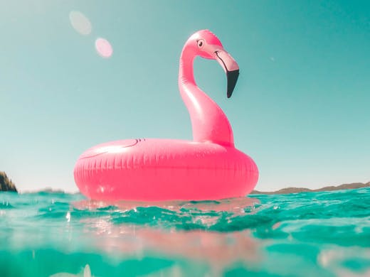 Summer Track and Fitness Center Hours and Procedure Updates - mailchi.mp/f27f24f10894/s…