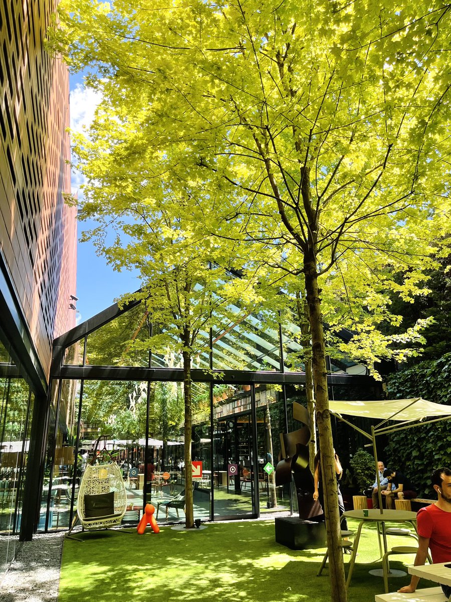 #JUSTBreathe
.
JUSTWork kampüste günlerden yeşil🌿
.
#justwork
#justworkofiskampüs