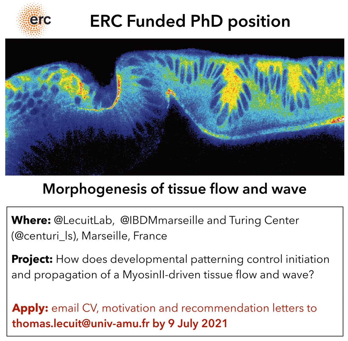 TLecuitLab (@lecuitlab) on Twitter photo Please RT PhD position offer: We are looking for an outstanding student willing to work in interdiscliplinary environment <a href="/LecuitLab/">TLecuitLab</a>, <a href="/centuri_ls/">CENTURI - Turing Centre for Living Systems</a> and <a href="/IBDMmarseille/">IBDM</a>. Fully funded position by ERC (<a href="/ERC_Research/">European Research Council (ERC)</a>) grant. Send application by email: thomas.lecuit@univ-amu.fr Please RT PhD position offer: We are looking for an outstanding student willing to work in interdiscliplinary environment <a href="/LecuitLab/">TLecuitLab</a>, <a href="/centuri_ls/">CENTURI - Turing Centre for Living Systems</a> and <a href="/IBDMmarseille/">IBDM</a>. Fully funded position by ERC (<a href="/ERC_Research/">European Research Council (ERC)</a>) grant. Send application by email: thomas.lecuit@univ-amu.fr