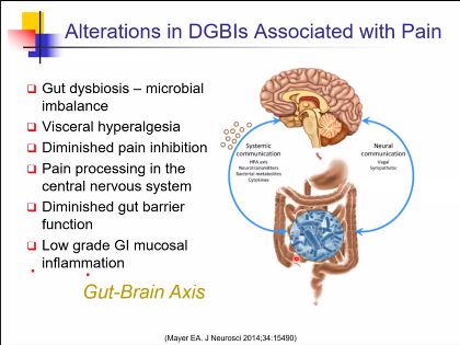 cabanam's tweet photo. Today at the Children's Hospital at @MontefioreNYC (#CHAM) Grand Rounds: Robert J. Shulman, MD, from Texas Children's Hospital presents, “Functional Gastrointestinal Pain Disorders (#FAPDs) – Can We Open the Black Box?” Great discussion about the #GutBrainAxis. @MontefiorePeds https://t.co/zcCOF3cIrI