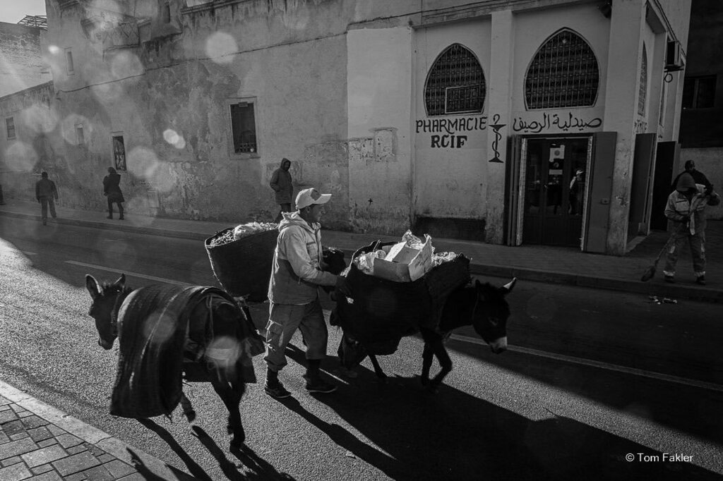 Early morning i the Fes Medina. Two donkeys carrying loads in to be dumped and another going out to pick up more.
.
.
.
.
#blackandwhite #blackandwhitephoto #blackandwhitephotos #blackandwhiteonly #instablackandwhite #blackandwhitephotography #blackandwh… instagr.am/p/CP5fKqph3jo/