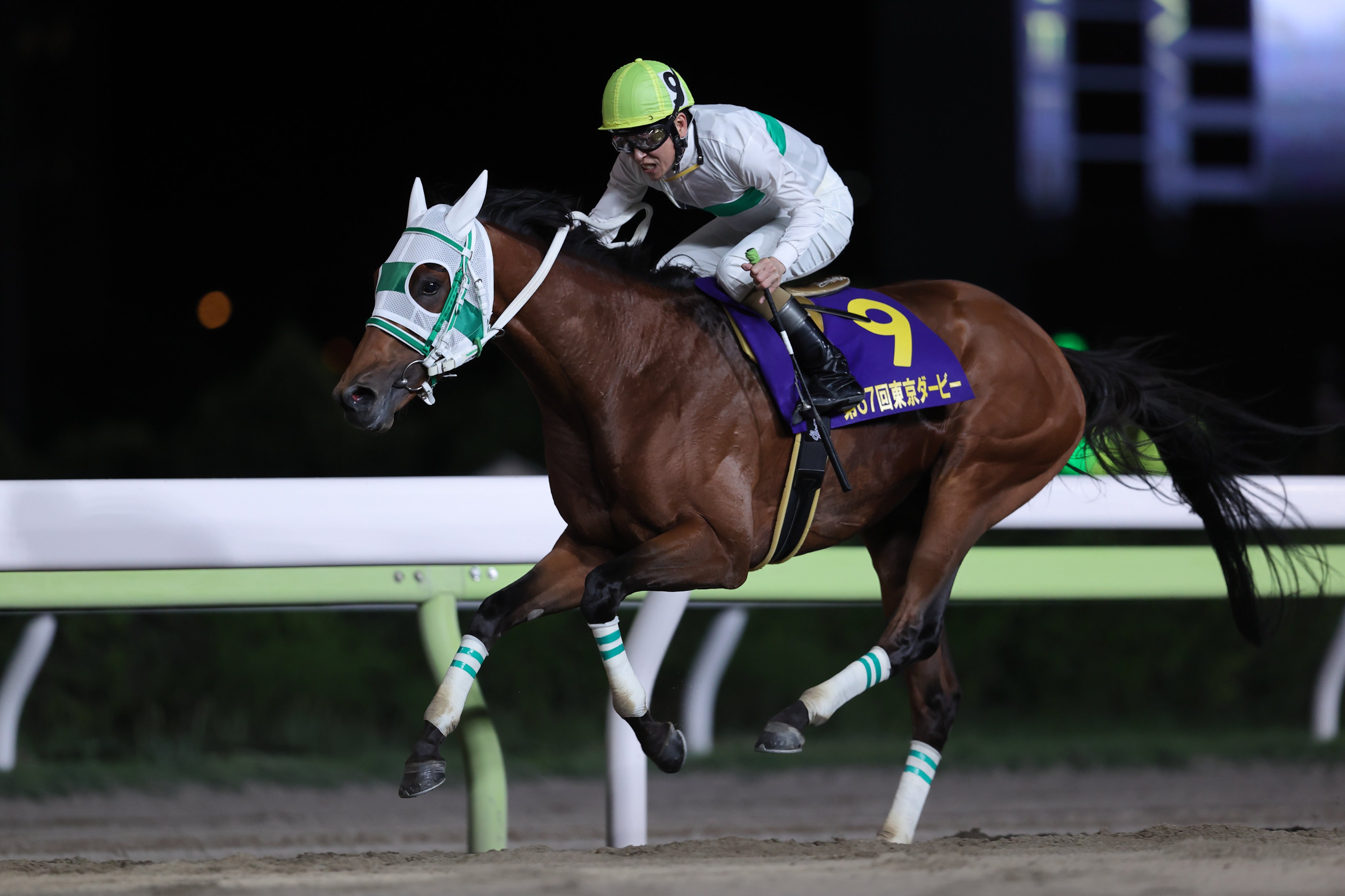 競馬ラボ 止まらない南関の超特急 21年東京ダービー1着 アランバローズ Alain Barows 牡3 船橋 林正人厩舎 左海誠二騎手 父ヘニーヒューズ 母カサロサーダ 母父ステイゴールド 競馬 Keiba アランバローズ T Co X53yb8u7to T Co