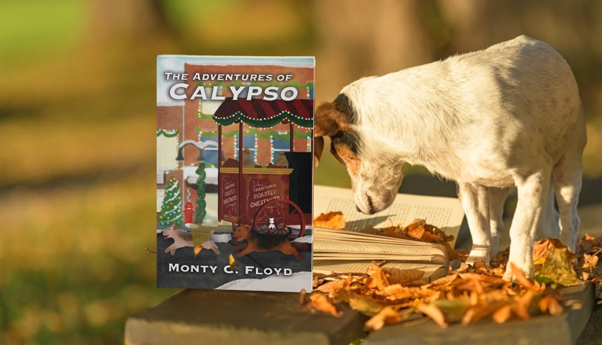 OutcastOtter's tweet photo. For our dogs lovers, the children's book Adventures of Calypso is out. Fun read about unique friendships. 
https://t.co/Vcc3ivRfNC #welshterriers #dogs #childrensbooks #books https://t.co/o2eFu3vtej