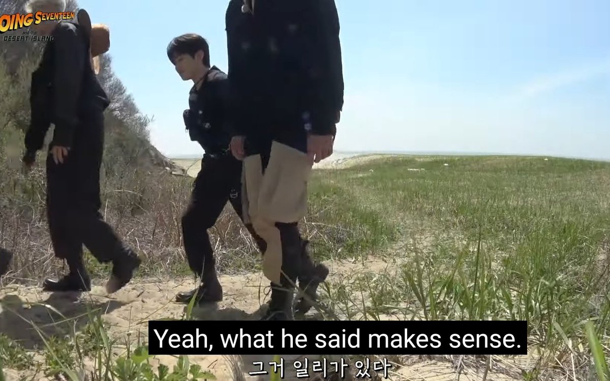 minghao: jeonghan is just causing problems on purpose and scoups is just a professional jeonghan simper who will do anything for jeonghan

jihoon and mingyu, nodding sagely: nah cant argue with that ur logic is unimpeachable