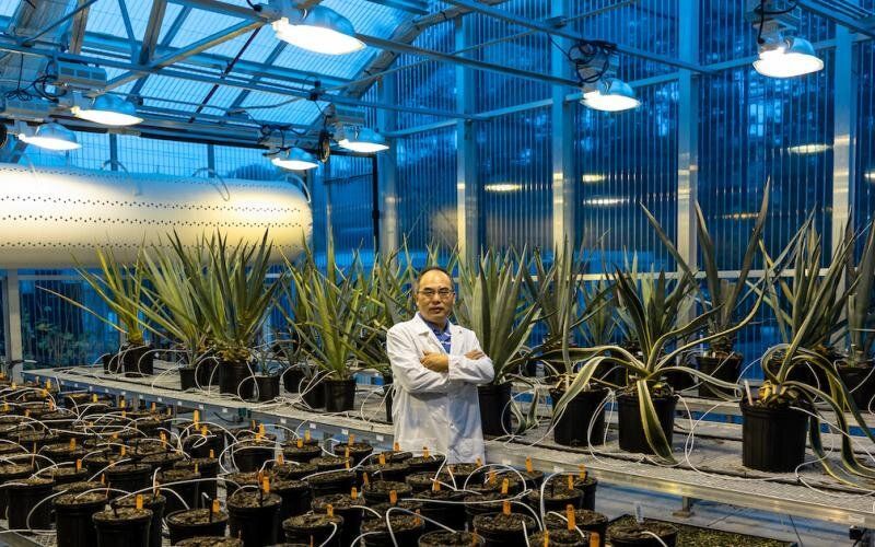 LightsmithGroup's tweet photo. Adapting agriculture is key for #climateresilience. A new study on cacti reveals a gene that helps plants resist drought. Read more: https://t.co/mcB68iDTzj. 🌵🌱
#climate #climateadaptation #agriculture #agtech #biotech #accelerateadaptation https://t.co/bO7XR0GKKE