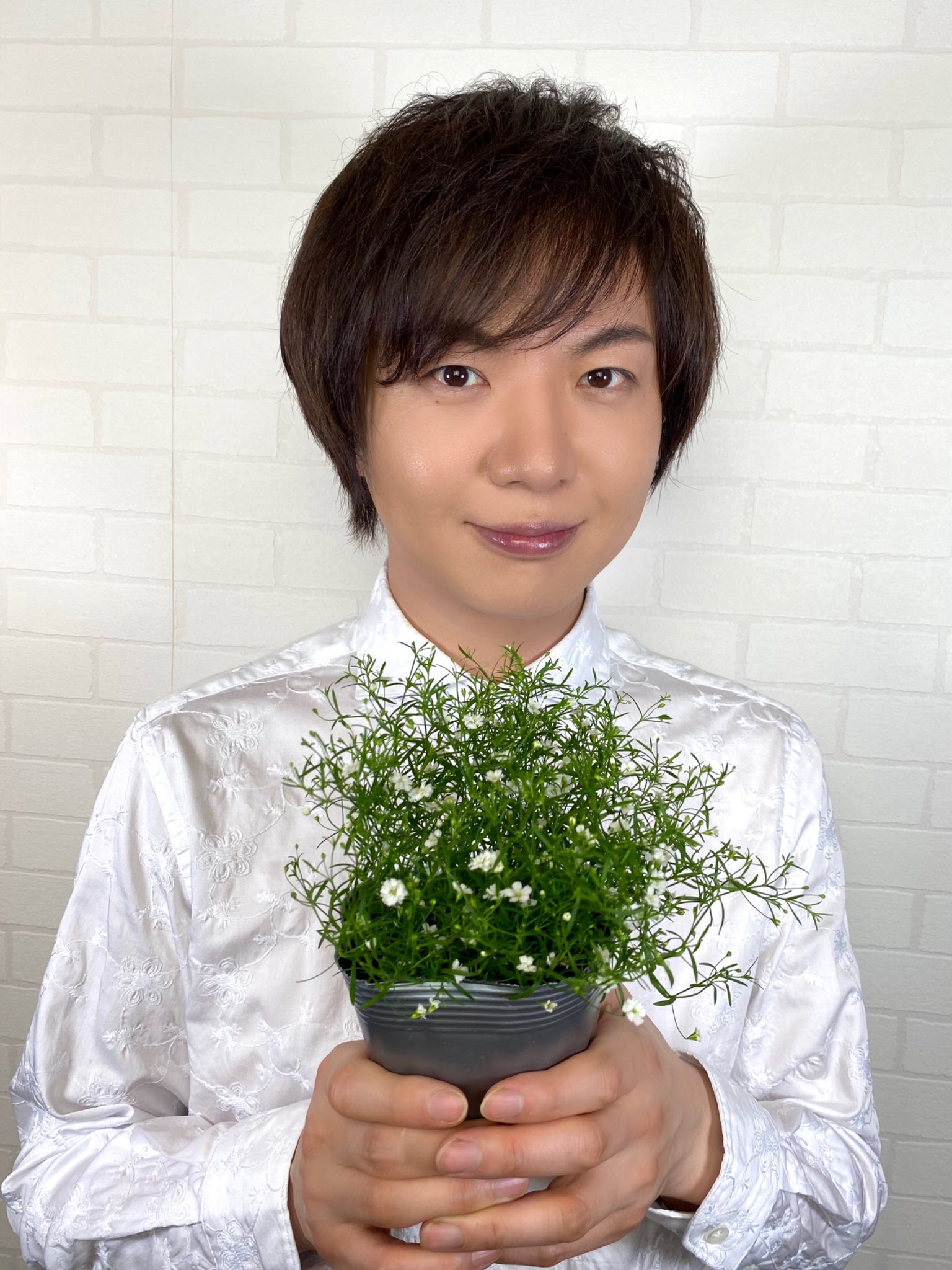 Y N Takeshima Staff カスミソウジプシーホワイト 清い心 宏くんの心 向かい風純情 オリコン１位 快挙の日 おめでとう ございます 私達にとっても最高の日になりました この喜び胸に秘め 明日からも応援 頑張ります 宏くん