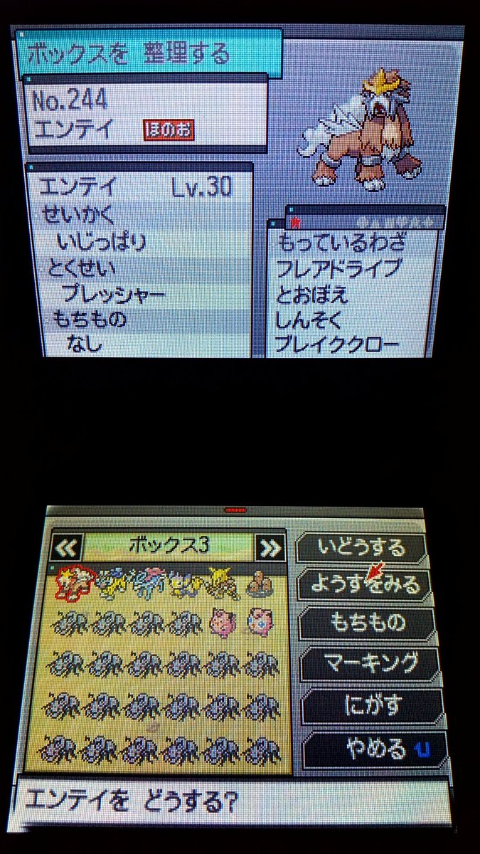 バグ好きレッド Twi11red Twitter