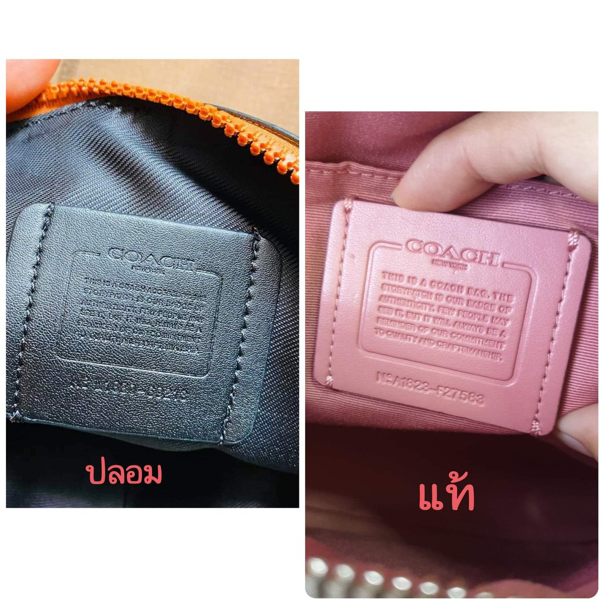 ไหน ลอง ซิ tweet media