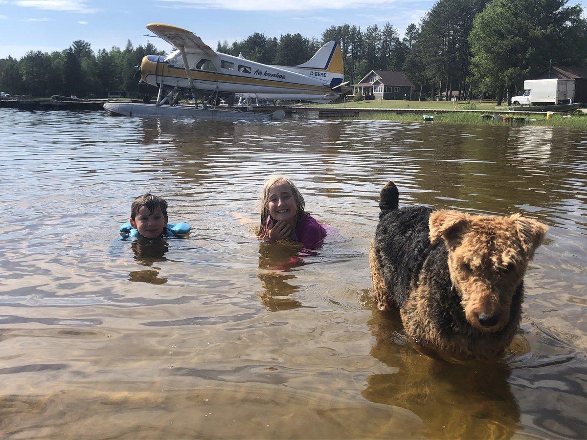 AirIvanhoe's tweet photo. #Hunter is the swim guard today at the beach !!! #Planes are back at Ivanhoe !!!! #NorthernOntario #Canada #airivanhoe #outfitter #northernguide #northernfishing #fishingCanada #CanadaFishing #fishingspot #fishingcamp #fishinglodge #fishOn #lakelife #flyinfishing #outfitter https://t.co/mLlCagyqzB