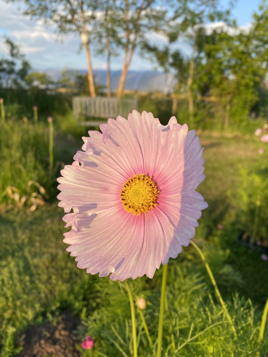 Jonathan Sheppard tweet media