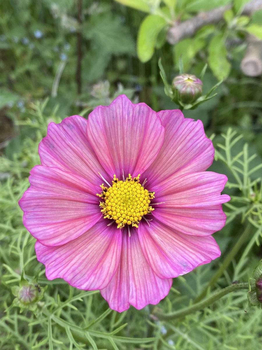 Jonathan Sheppard tweet media