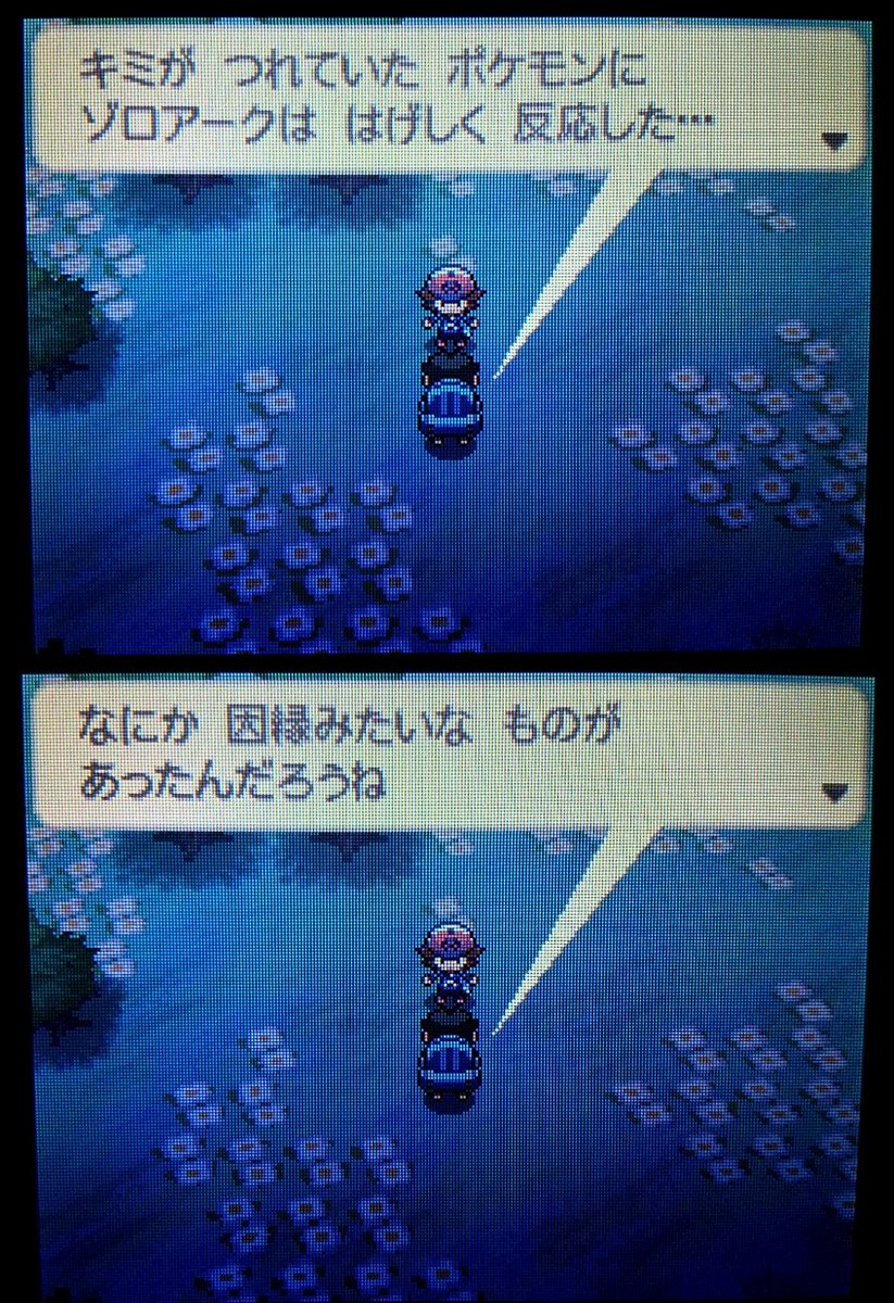 バグ好きレッド Twi11red Twitter