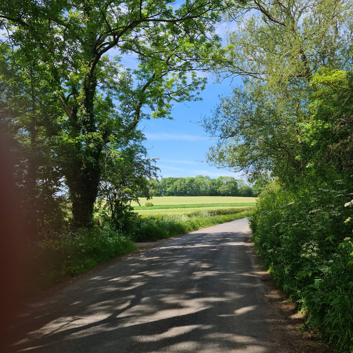 beckbusters's tweet photo. The first 2k of our race is on road out of the village, we then join the canal up to Littlethorpe where there's another short road section, across the fields back to Bishop Monkton and then finally through the beck ... oh, and did we mention there's a pub at the end 🍻🍷👟 https://t.co/Znv2IvevY8
