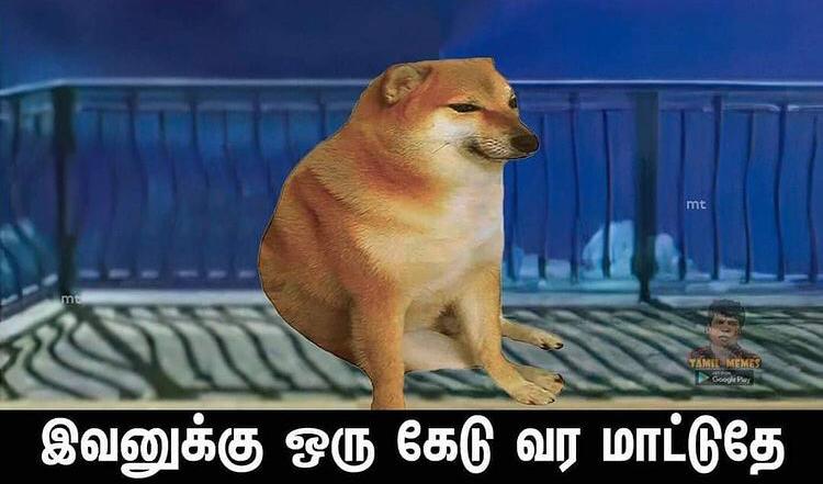 samguavirothi's tweet photo. @PeruvaikalaMc @mubina_2007 https://t.co/7bpkHPuy6d