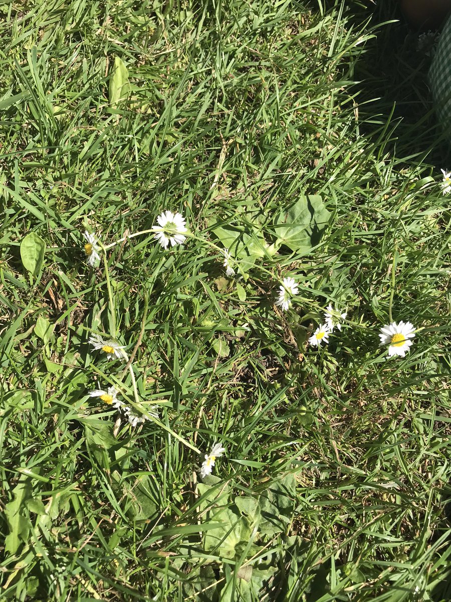 Mrs Lamb tweet media