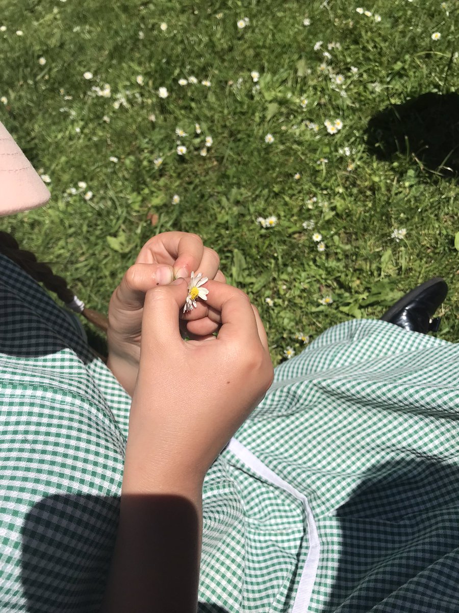 Mrs Lamb tweet media