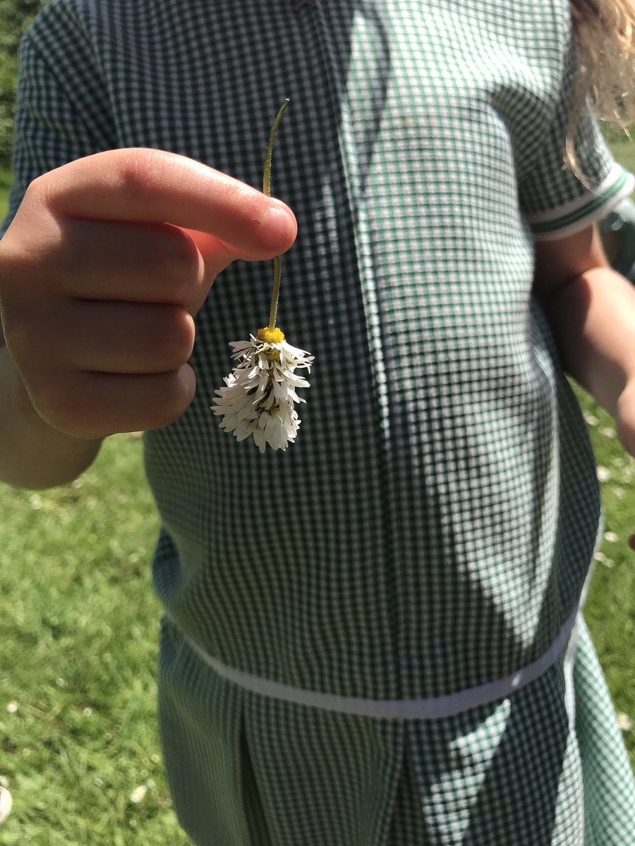 Mrs Lamb tweet media