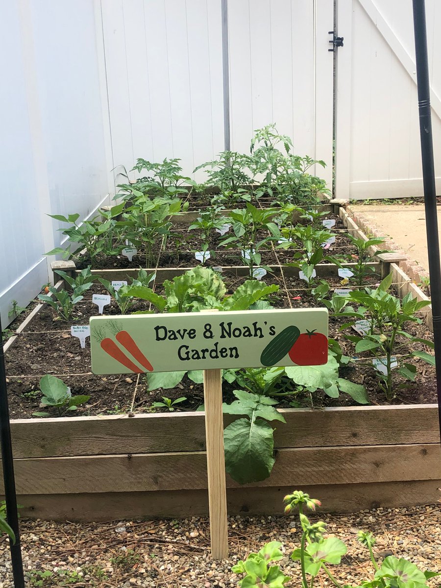 ChildrensHome's tweet photo. Noah loves to garden in the summer! What’s your favorite warm weather activity? Comment below! Help kids like Noah continue to grow & thrive by making a donation today: https://t.co/j43Qh0sHcJ
#adoption #fostertoadopt #fostercare #adopt #foreverfamily #noahsstory #noahdoes https://t.co/08Q0PeQOvT