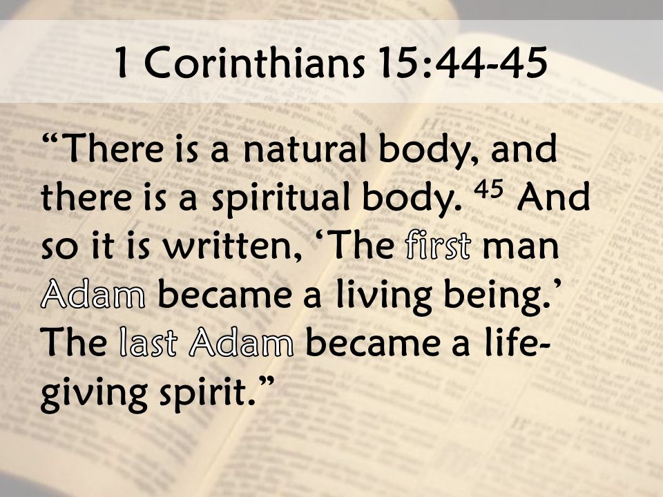 efsibha's tweet photo. LIFE-GIVING SPIRIT❤ https://t.co/Sld58afbhr