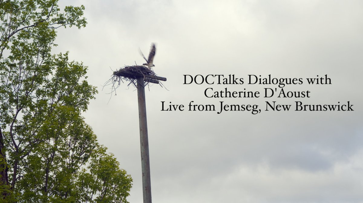 Check out the DOCTalks Festival and Symposium Trailer! Hosted and Edited by your host Catherine D'Aoust, DOCTalks Dialogues: Live from Jemseg, New Brunswick, takes you on a walking tour through the Jemseg River Valley.

Watch the trailer now: vimeo.com/560231295
