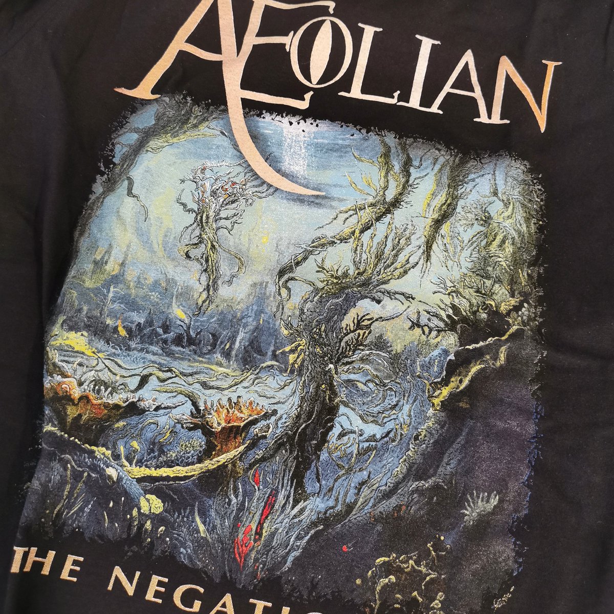 The new tshirt of The Negationist is still available on our Bandcamp. 

aeolianband.bandcamp.com/merch

#aeolianband #thenegationist #merchandising #blackmetal #deathmetal #melodicdeathmetal #metalheadcommunity #nickgrimamgt #blacklionrecords