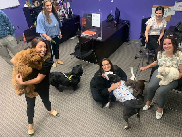 HireDynamics's tweet photo. Raising the woof for HD #SpiritWeek #BYDTWD https://t.co/FQ2VHm0Ce0