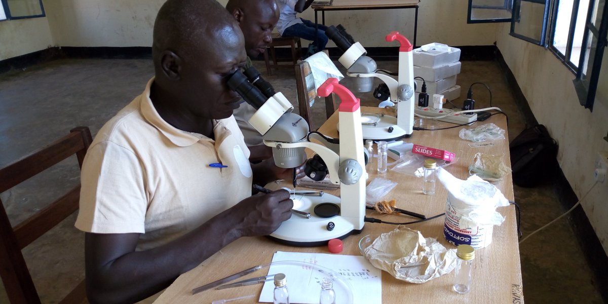 amrefSSudan's tweet photo. Entomological studies on blackflies in Maridi Health Center Institute.
#EndNoddingsyndrome https://t.co/YriQme1RsT