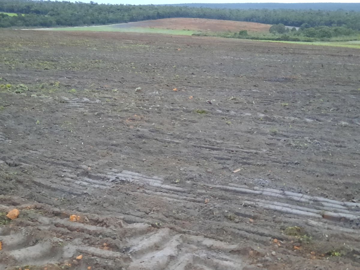 Should be a bit easier to seed now.  <a href="/Rocks_Gone/">Rocks Gone</a>