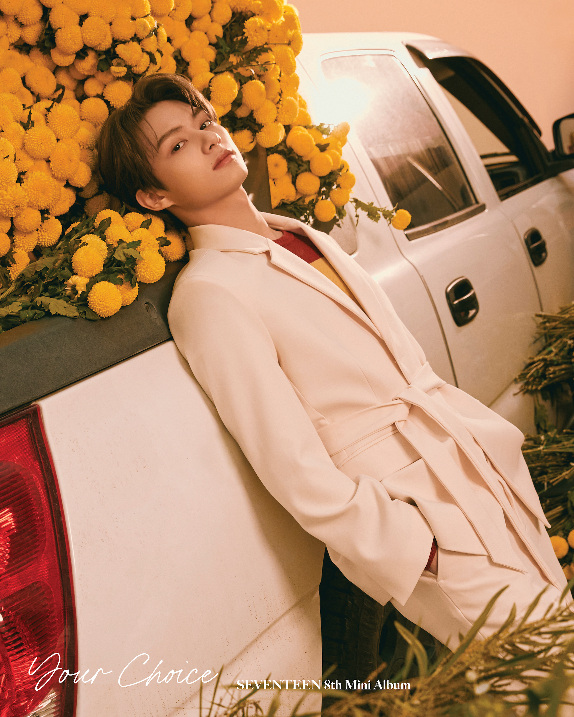 Seventeen Your Choice Official Chinese Yizhiyu A ver Fansign