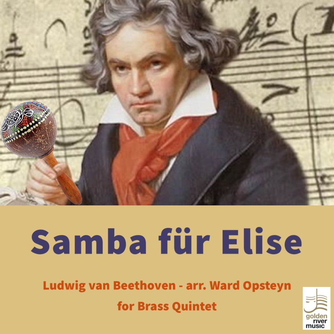 GRMrik's tweet photo. If Beethoven was a Brasilian composer.... https://t.co/gAn9ZRnzDO