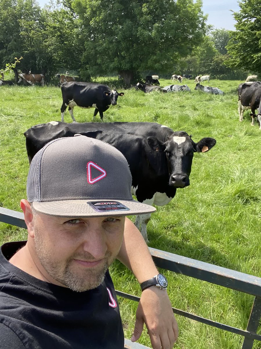 halphastudio's tweet photo. On est pas bien là? Aujourd'hui tournage dans la campagne... En très bonne compagnie! 

#halphastudio #productionaudiovisuelle #digitalmarketing #communication #agencedecommunication #agenceaudiovisuelle #agencedemarketing #video #stage https://t.co/rPkDJ0vj4d