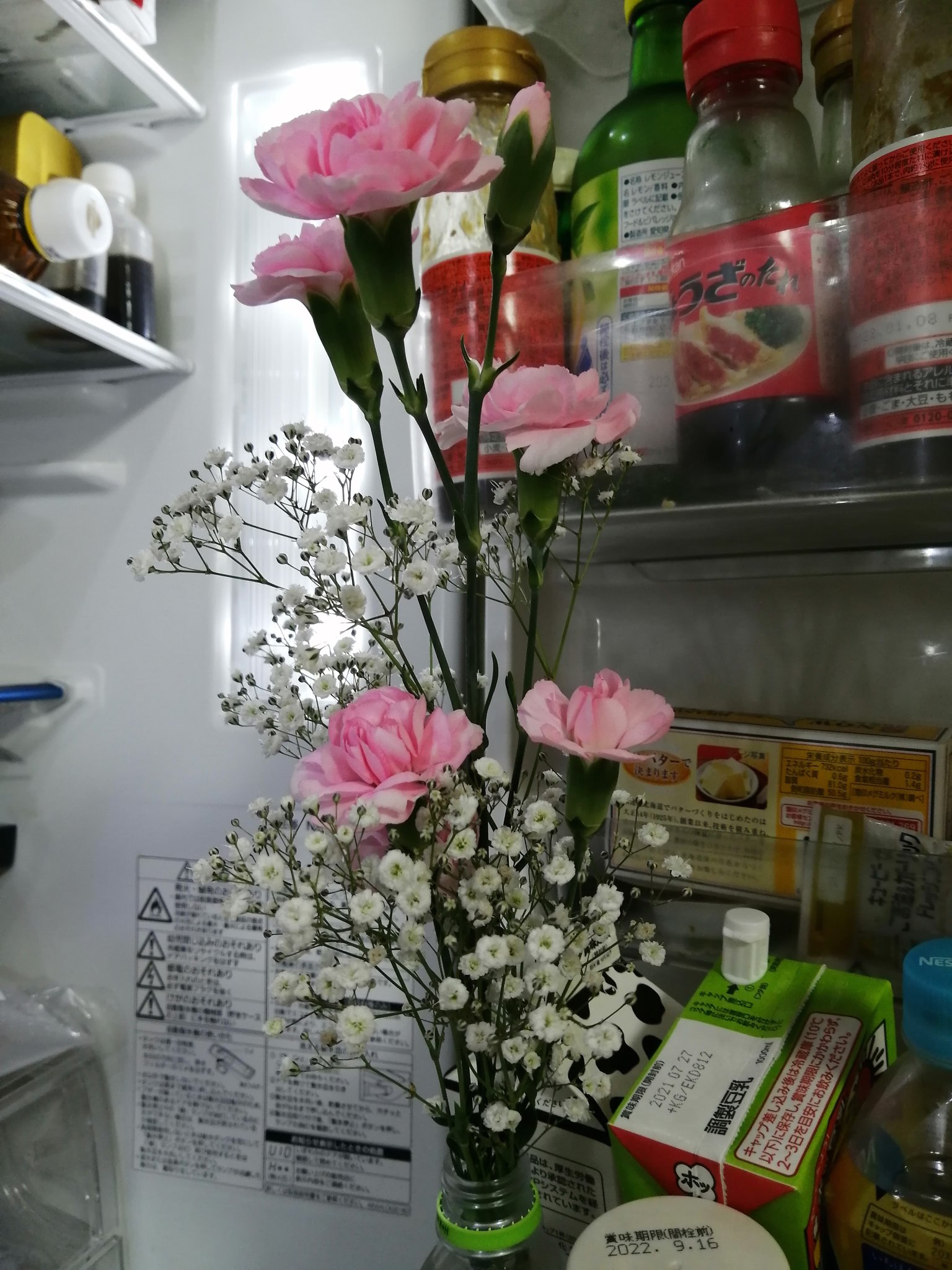 تويتر こむぎなべ على تويتر 今日の花 1ヶ月前の花 母の日にもらったお花 まだまだキレイ 冷蔵庫恐るべし どうでもいい報告をする T Co Yr5yavcq3z