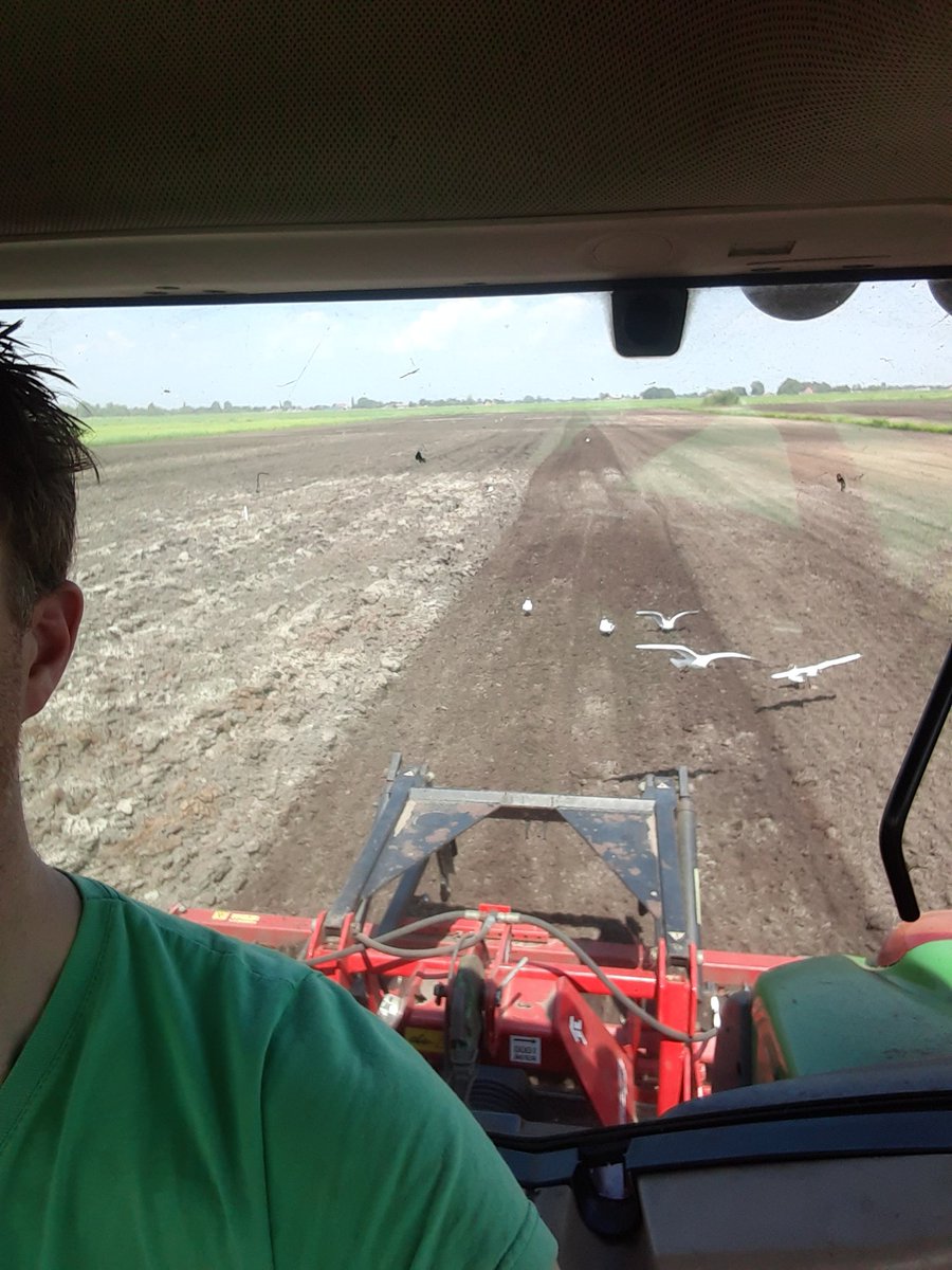 K00yker's tweet photo. Foar de twadde x  rotoraidsje en straks opnei de maïs dr yn https://t.co/tvUycbsWO9
