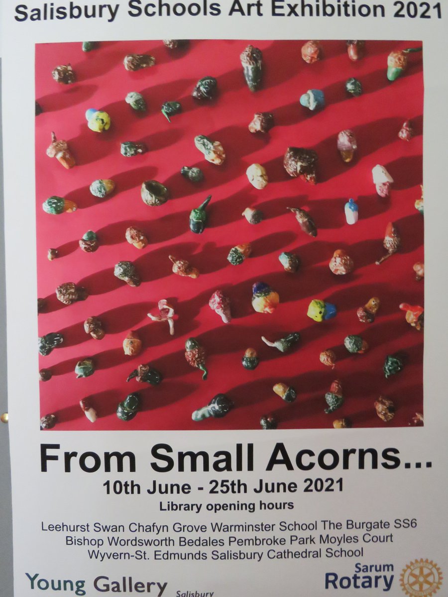 DunhurstArts's tweet photo. Setting up our 'Future Archaeology' installation @TheYoungGallery #SalisburyLibrary #Salisbury as part of an exciting new exhibition with Salisbury Schools entitled 'From Small Acorns' https://t.co/d8d0gikMba