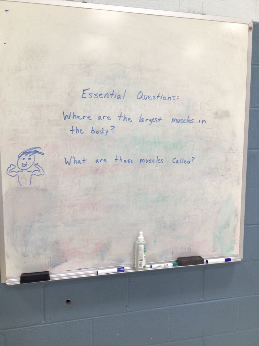 SimmermonHTS's tweet photo. Can you answer my essential questions of the day? #HTS #PHYSICALEDUCATION https://t.co/9ZCh3JOVAY