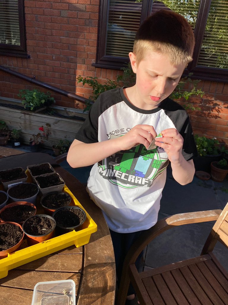 PoldenBower's tweet photo. Great to see more sunflowers 🌻 being planted 

#Grow
#Sunflowers
#BelieveYouCan
#HomeSchoolLearning https://t.co/d5EptJ1mx6