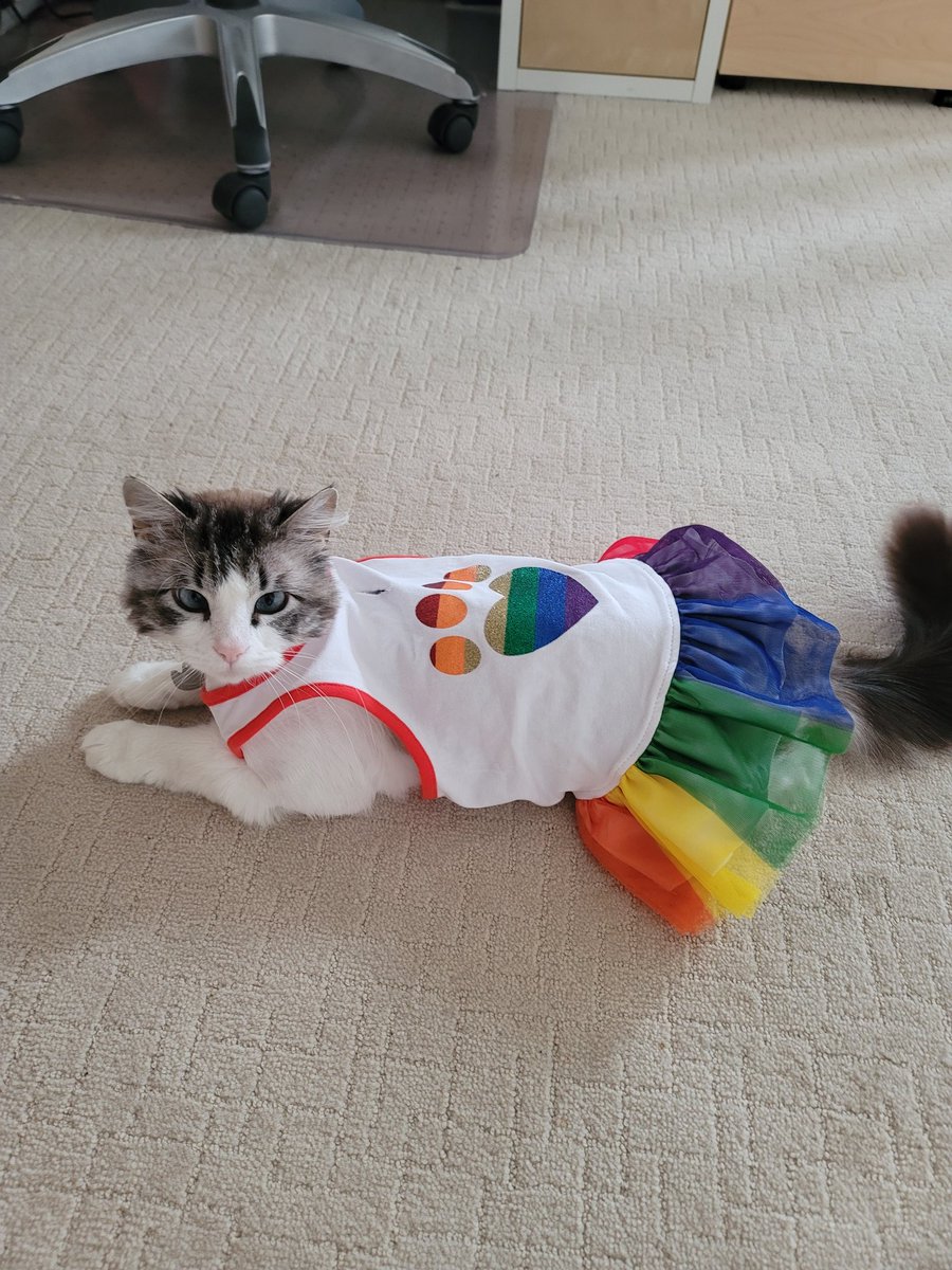 HQuinnLocal37's tweet photo. Hey @EdPubTeachers it's Pride Month and it's time to show off and post any rainbows you spy!
Don't forget to tag us and retweet!
❤🧡💛💚💙💜
#EPTLPride2021 #ATAPride #PrideFierté #ATAGSA
@albertateachers @schill_dawg https://t.co/vYnqiUy4k4