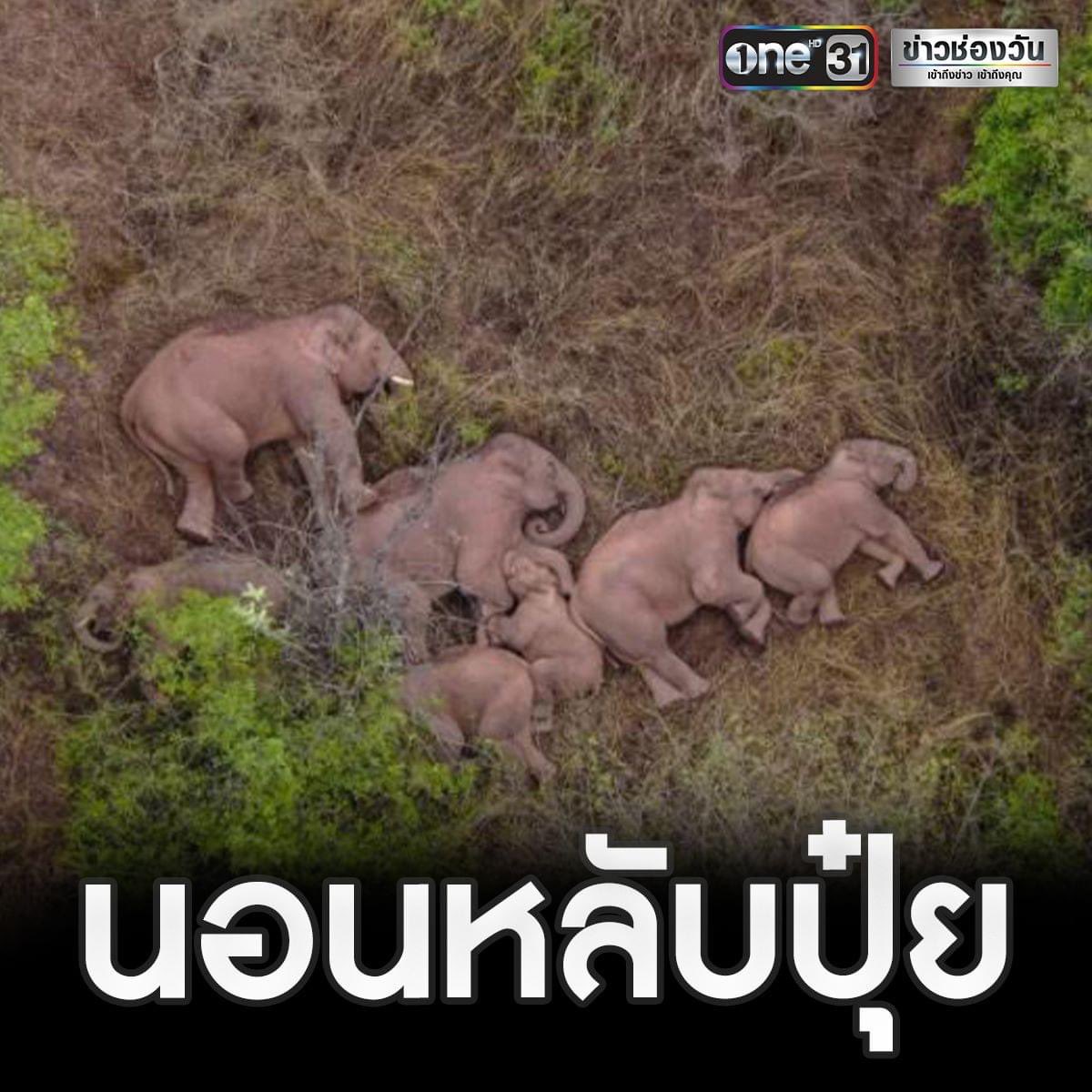 น้องอพยพมา กว่า40วัน เอ็นดู555555