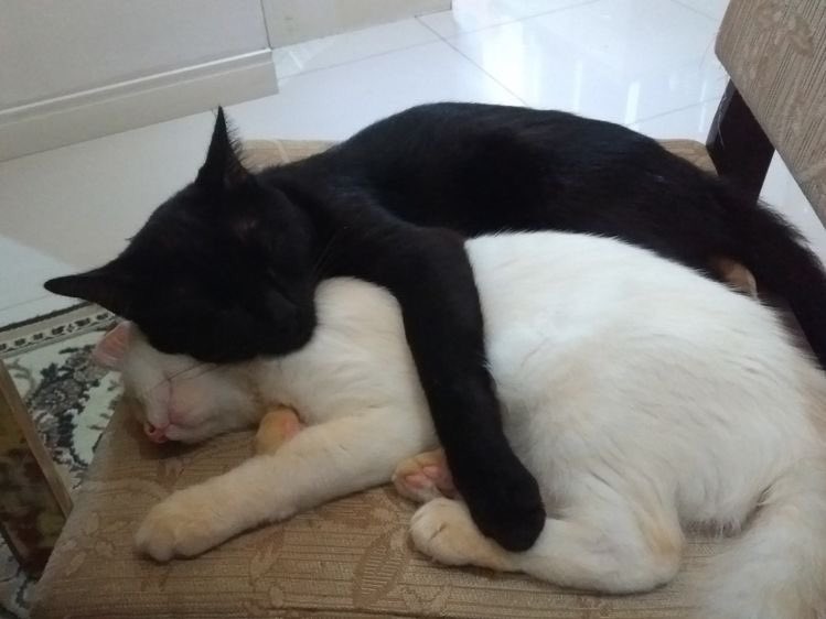 imaqsense's tweet photo. don't hotheaded babe. lemme hug u https://t.co/z29ZvK2bsb