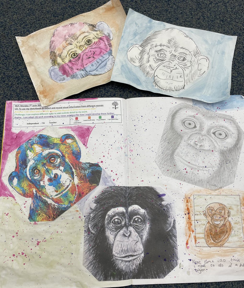ShaunaNix's tweet photo. I’m loving the art work produced by class 10 over the past few days. They collected visual information from different sources to produce their own art. 🐵 I’m sure you’ll agree with me at how fantastic these are! https://t.co/gVUcpR3moZ