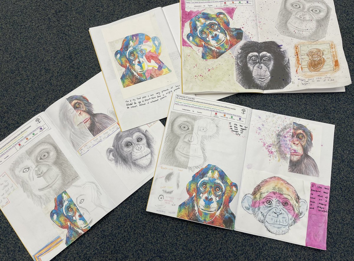 ShaunaNix's tweet photo. I’m loving the art work produced by class 10 over the past few days. They collected visual information from different sources to produce their own art. 🐵 I’m sure you’ll agree with me at how fantastic these are! https://t.co/gVUcpR3moZ