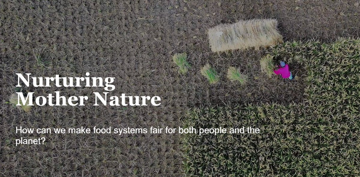 WorldVisionUSA's tweet image. How can we make #FoodSystems fair for both people and the planet? Check out this new @devex photo series featuring Sobita’s award-winning organic vegetable garden in Bangladesh. #DevexSeries
 
bit.ly/3ghbOey