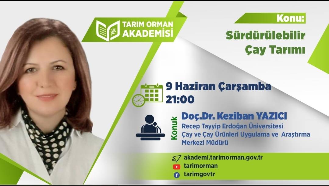 TORakademi's tweet photo. #tarimormanakademisi online seminerlerinde bu akşam konuğumuz Recep Tayyip Erdoğan Üniversitesi Çay ve Çay Ürünleri Uygulama ve Araştırma Merkezi Müdürü Doç. Dr. Keziban Yazıcı. Sürdürülebilir Çay Tarımı konusuyla sizlerle.

https://t.co/sS5Bdd5CQI https://t.co/XroysokRTX