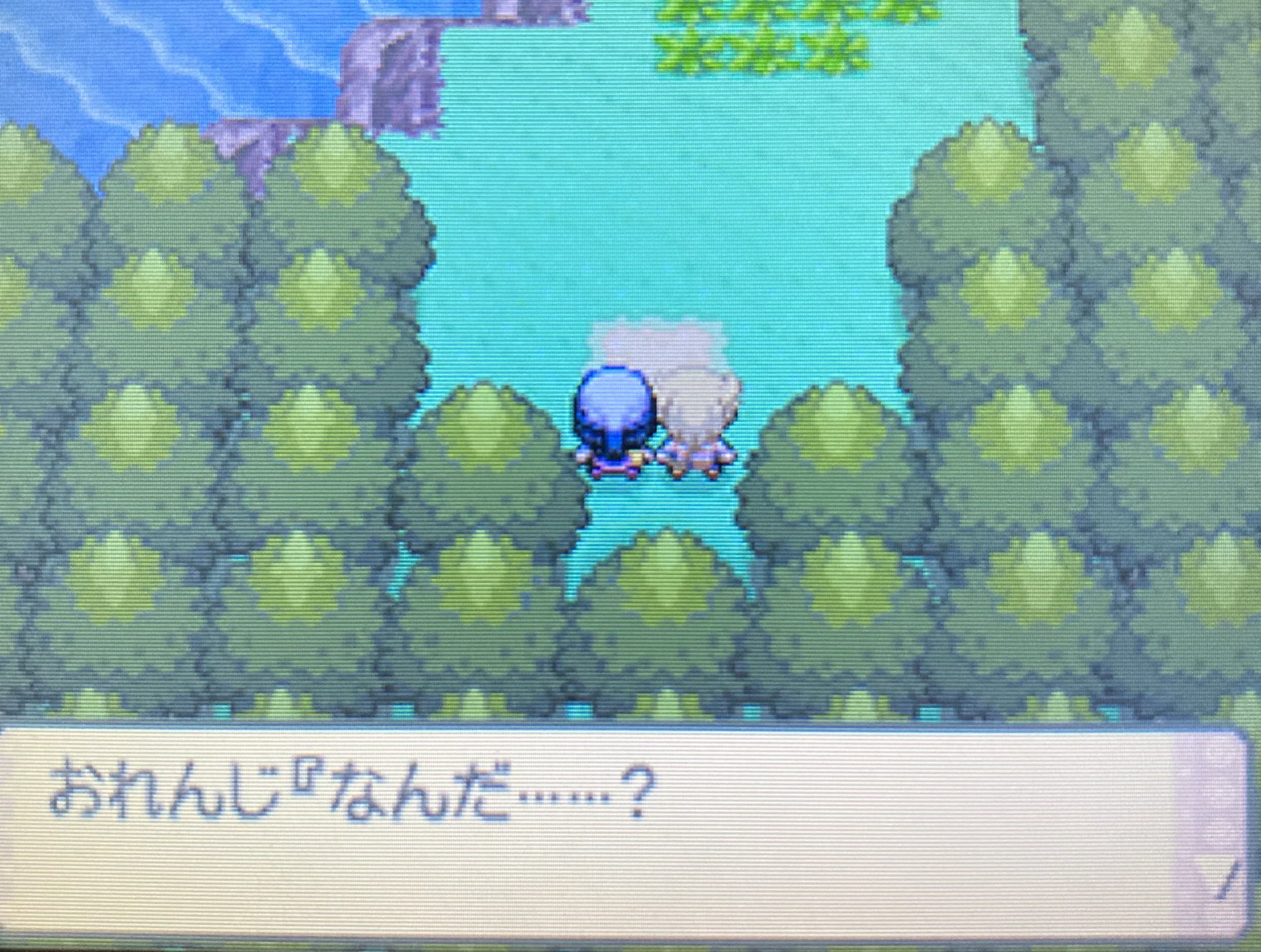 ダイパ色違いポッチャマ最初の草むらでレベル100 Twitter