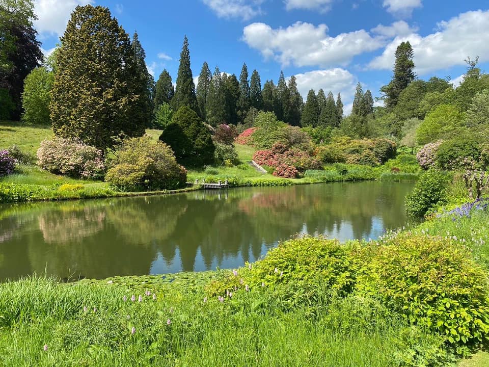 Cowdray Estate tweet media