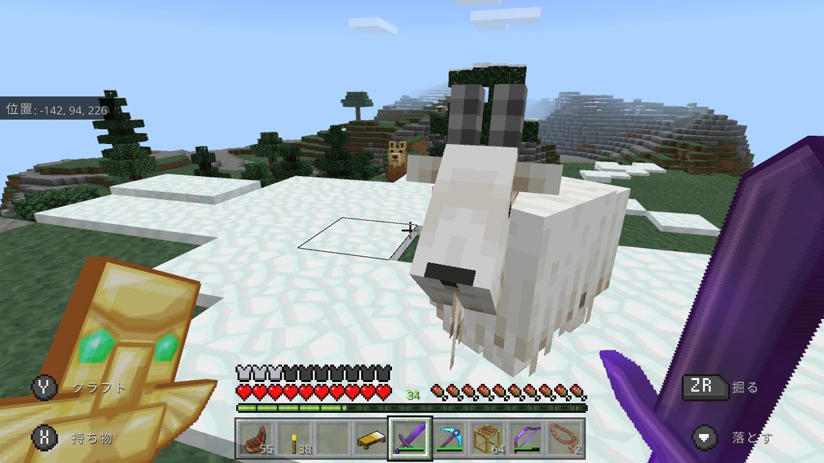 美紗 空が好き على تويتر えりなちゃん みさちゃん 今夜のマイクラ さっきはウーパールーパーと 戯れてたけど 今度はヤギさん 雪山バイオームで見つけた 家の周辺って 近場にサンゴの海も 雪山もあって いい場所なのだ 連れて帰って飼育場へ 小麦で