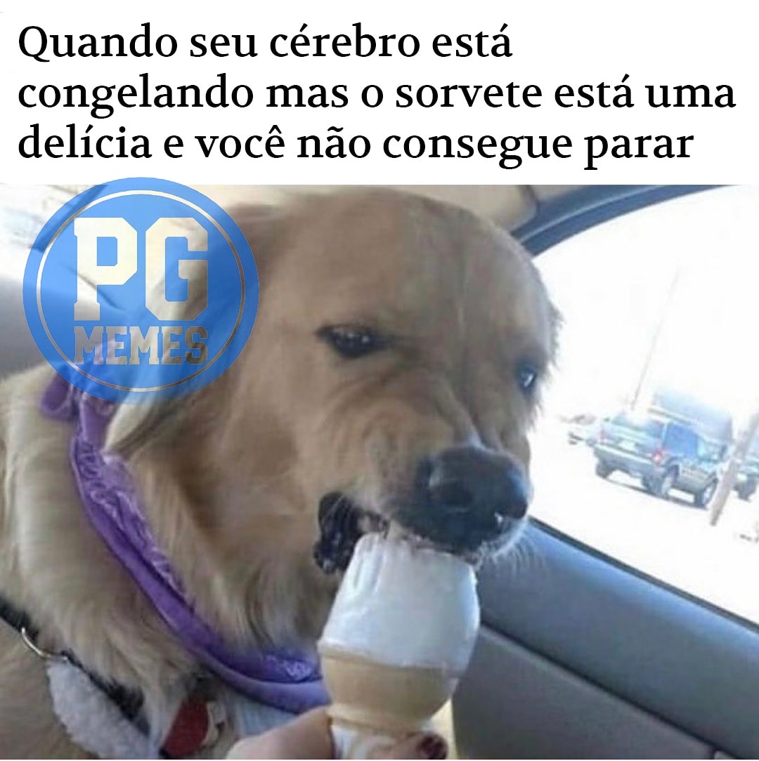 PG Memes on X: Eu todo domingo #meme #memes #memestagram #pgmemes  #memesbrasileiros #memebr #memesengraçados #paginadememes #memesoriginais  #memesbrasil #memes2021 #sobremesa #sorvete #memescomida #comida #doces  #memesculinarios #memesanimais #animais