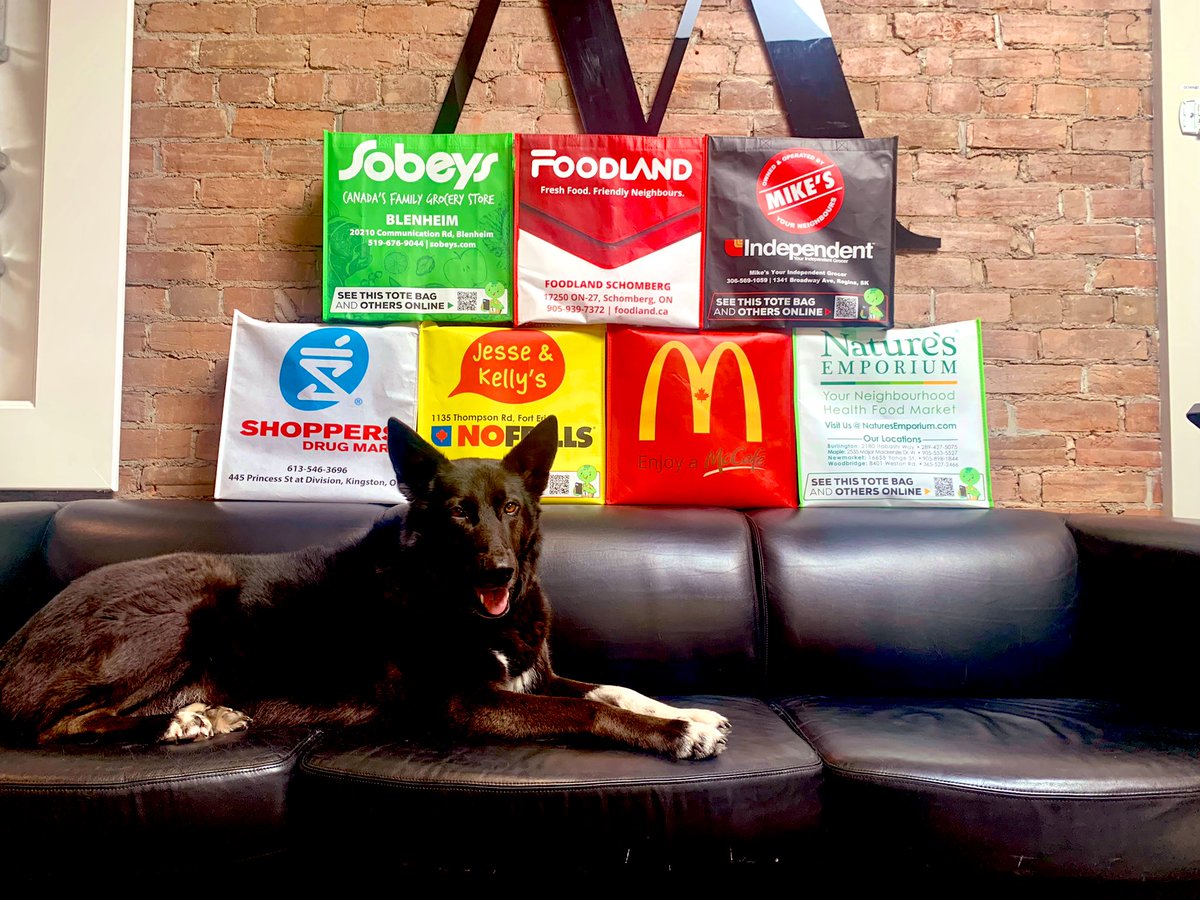 Kristyn (@marc_kristynb) on Twitter photo The protector of the bags #officeDog #employeeofthemonth <a href="/MARC_Group_Inc/">The MARC Group</a> #wherewework #turtletotebag The protector of the bags #officeDog #employeeofthemonth <a href="/MARC_Group_Inc/">The MARC Group</a> #wherewework #turtletotebag