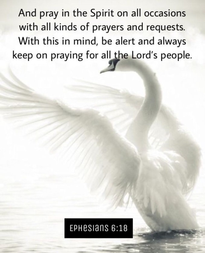 ministerricky1's tweet photo. Or Father please #IgniteFireOfPrayer in us
Help us develop #MindsetAndCulture of #PersistentPowerfulPrayer in faith & righteousness
Thank You for those #WhoPrayForUs, #BlessAndKeep #PrayerWarriors who #Intercede for others
In #JesusChrist's AllPowerful Name
TY
#EuropaAfricaUS https://t.co/RxffnvAcH2